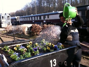 Marcus gießt die Blumenlore