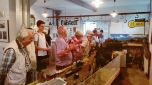 Modell der Strecke von Ohlstedt bis Wohldorf